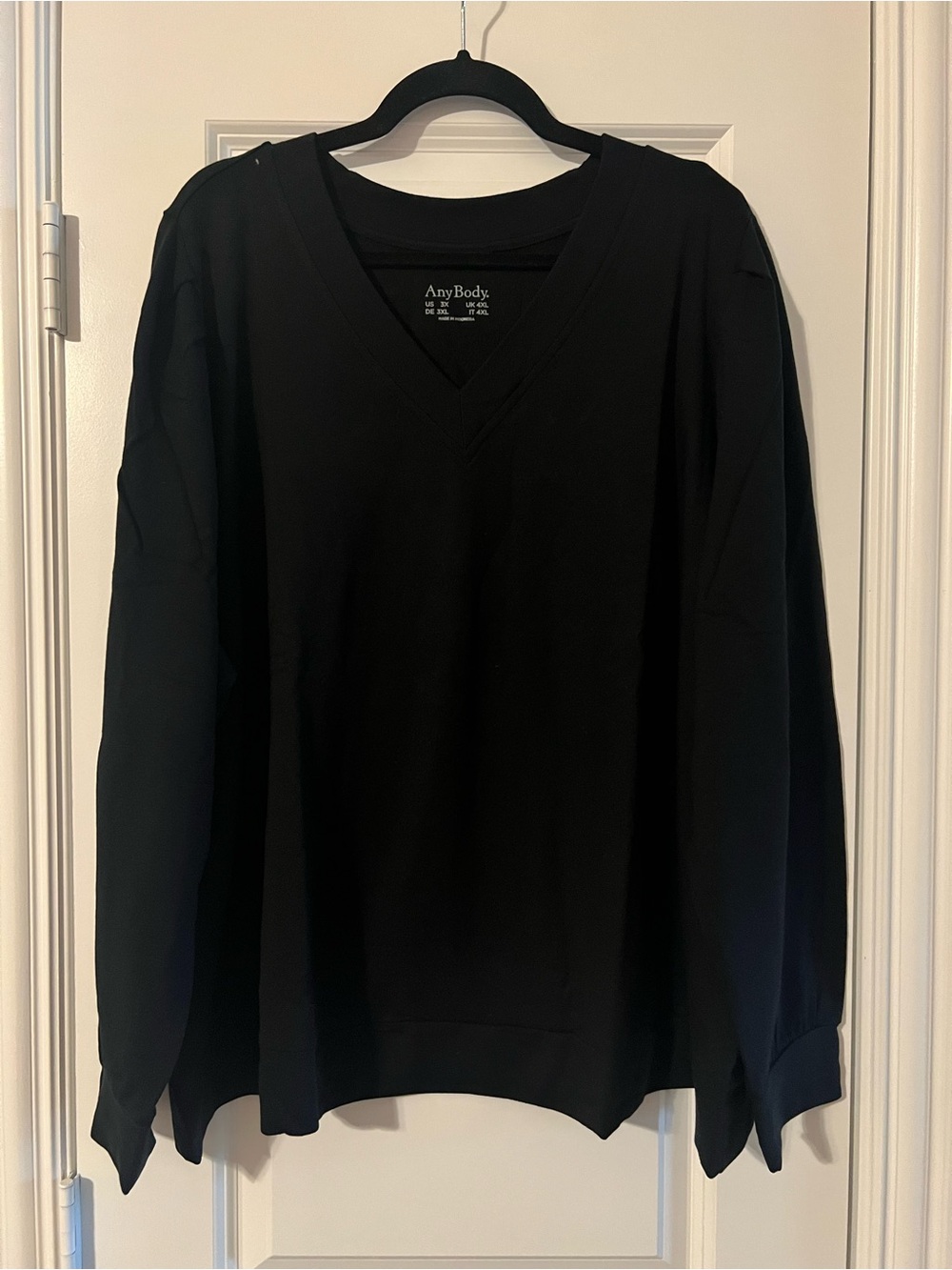 AnyBody V-Neck Pullover